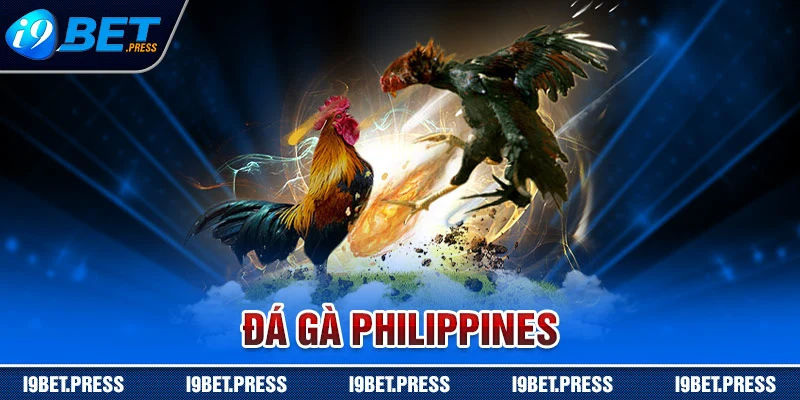 đá gà Philippines