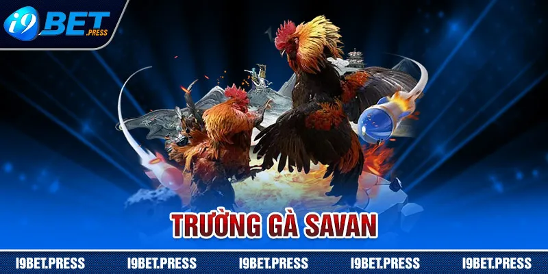 trường gà Savan